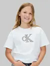 FESTIVE GRAPHIC SS T, YAF