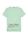 FLAG FUN TEE SS, LZY