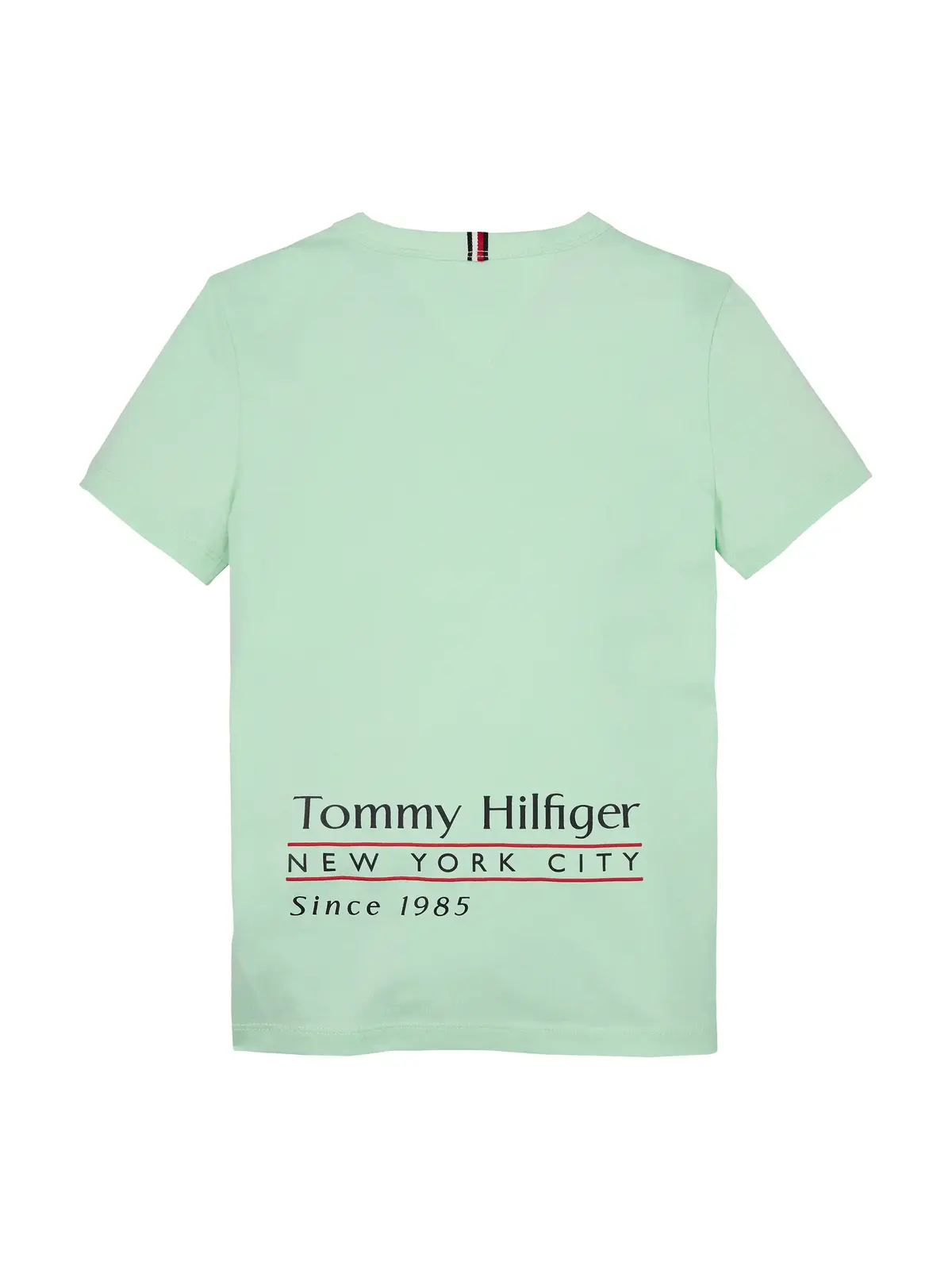 FLAG FUN TEE SS, LZY