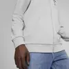 Puma F1 ESS Full-Zip Hoodie Gri Erkek Hoodie
