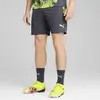 Puma individualCUP Shorts Gri Erkek Şort