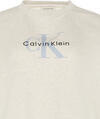 Calvin Klein LS MONOLOGO FRENCH TERRY RLXD CN Gri Kadın Sweatshirt