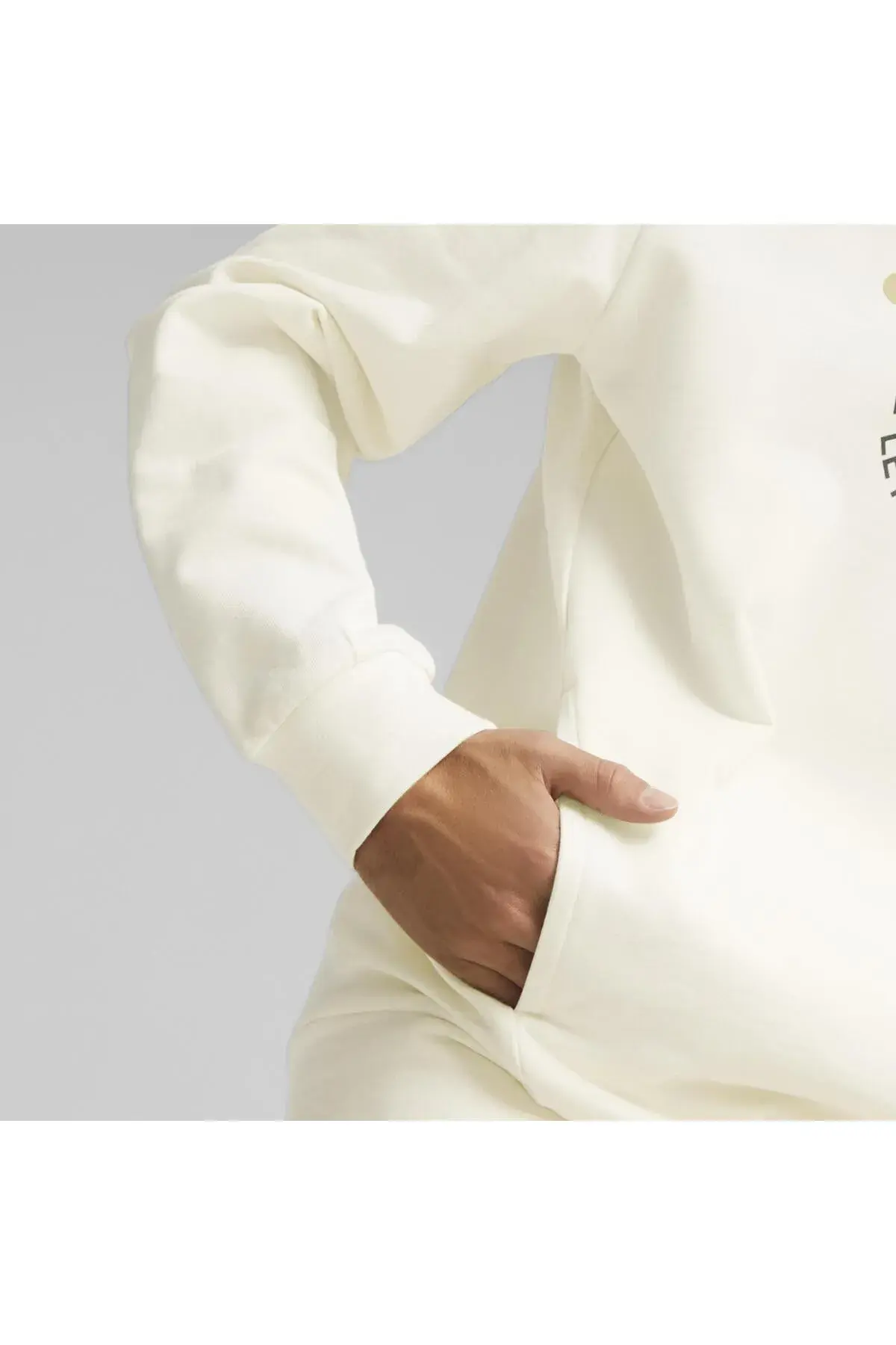 Puma BETTER SPORTSWEAR Hoodie TR Beyaz Erkek Hoodie