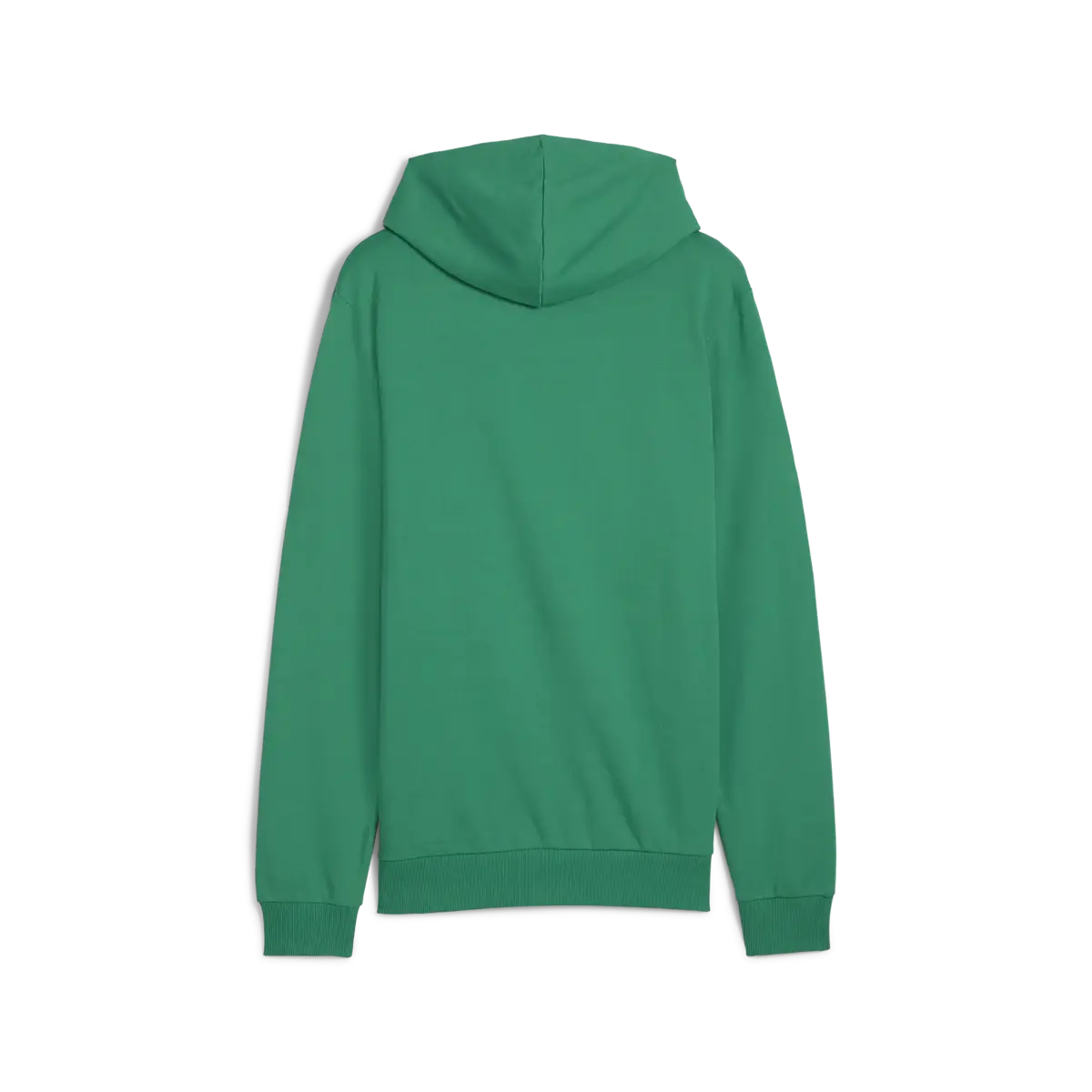 Puma teamGOAL Casuals Hoody Erkek Sweatshirt