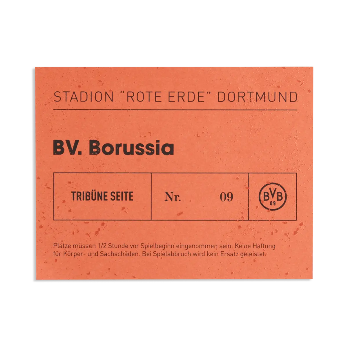 Puma BVB Special Edition JSY Rep Siyah Erkek Forma