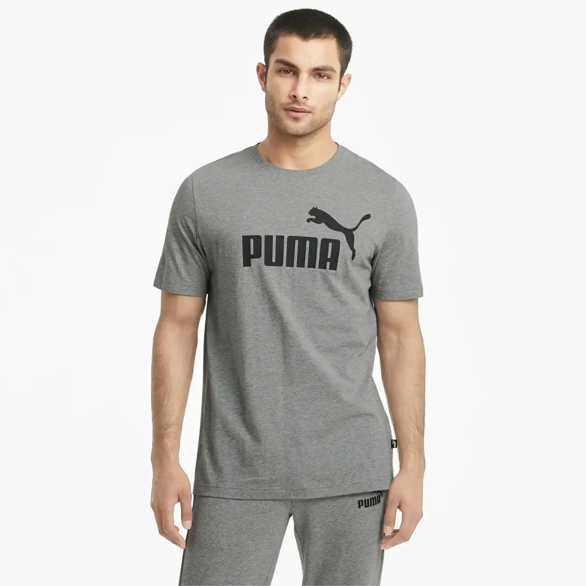 Puma ESS Logo Tee Gri Erkek T-Shirt