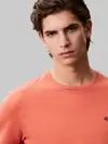 Calvin Klein SS SMOOTH CTTN SOLID, FDZ Turuncu Erkek T-Shirt