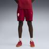 Puma GSK EVOSTRIPE Shorts GALATASARAY EVOSTRIPE Erkek Şort