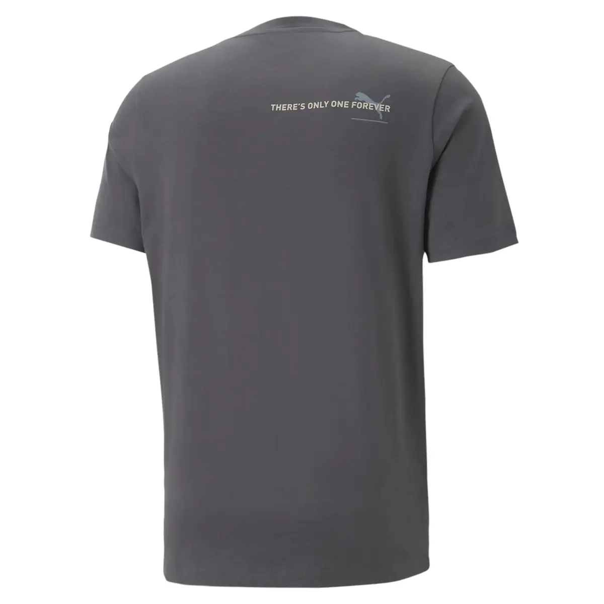 Puma ESS BETTER Tee Flat Dark Gray Gri Erkek T-Shirt