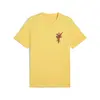 PUMA WARDROBE ESS Graphic Tee Sarı Erkek T-Shirt