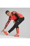 Puma İndividualfınal Training Pants Siyah Erkek Futbol Eşofman Altı