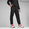 Puma F1 ESS Sweatpants Siyah Erkek Eşofman Altı