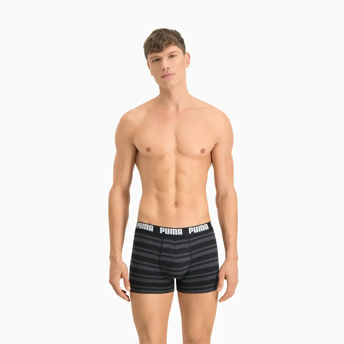 Puma PUMA HERITAGE STRIPE BOXER 2P black Siyah Erkek Boxer