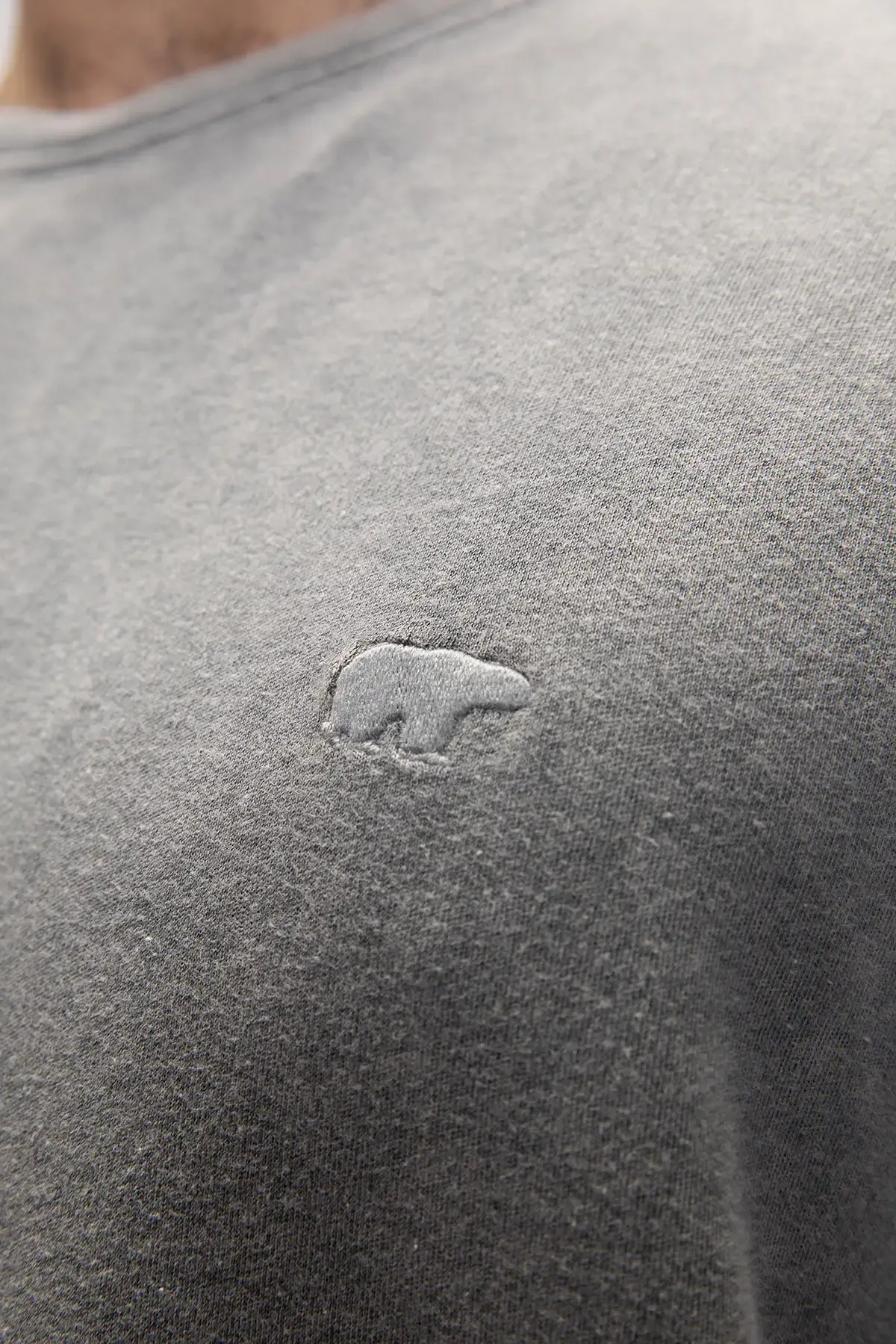 BAD BEAR WILD T-SHIRT Erkek Gri T-Shirt