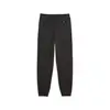 Puma TEAM Sweatpants Siyah Erkek Eşofman Altı