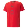 Puma Franchise Core Basketball T-Shirt