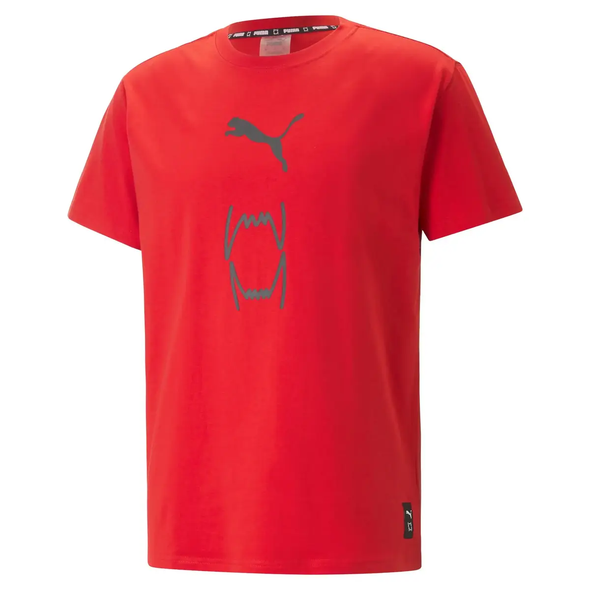 Puma Franchise Core Basketball T-Shirt