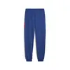 Puma BMW MMS SWEAT PANTS REG/CC Mavi Erkek Eşofman Altı
