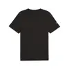 Puma MAPF1 ESS Logo Tee Siyah Erkek T-Shirt