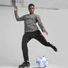 Puma FUTURE MATCH FG/AG Siyah Erkek Krampon