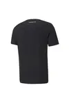 Puma Pl Graphic Tee 2 Siyah Erkek T-Shirt