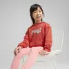 Puma X HK&FR Relaxed Hoodie Kırmızı Kadın Sweatshirt