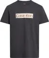 Calvin Klein Siyah Erkek T-Shirt & Polo