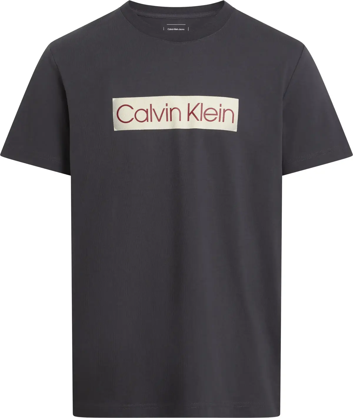 Calvin Klein Siyah Erkek T-Shirt & Polo