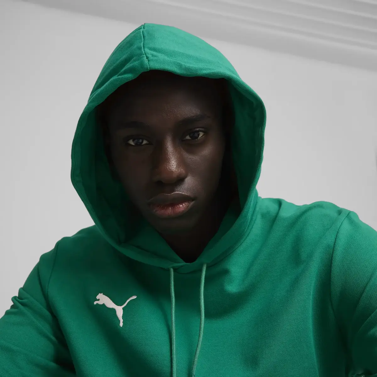 Puma teamGOAL Casuals Hoody Erkek Sweatshirt