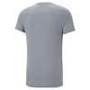 Puma EVOSTRIPE Tee Tile Gray Tile Erkek/Unisex T-Shirt