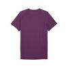 Puma GSK EVOSTRIPE Tee GALATASARAY EVOSTRIPE Erkek Dar Kesim Tişört