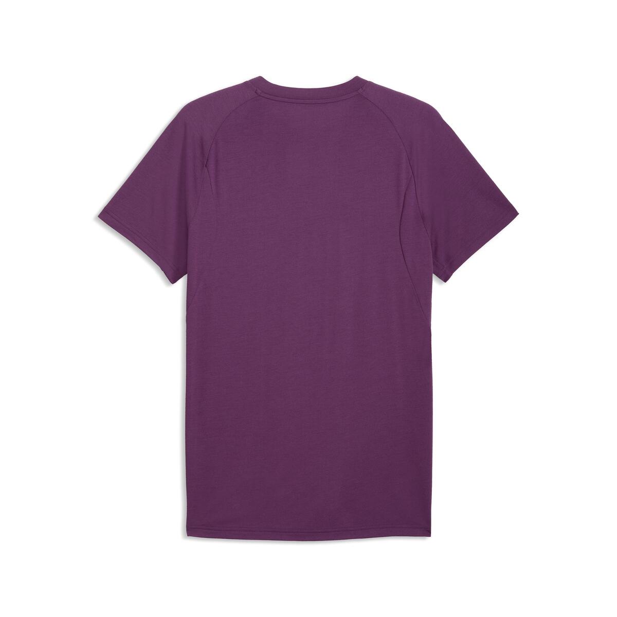 Puma GSK EVOSTRIPE Tee GALATASARAY EVOSTRIPE Erkek Dar Kesim Tişört