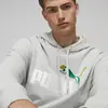 Puma NO.1 LOGO Hoodie Gri Unisex Hoodie