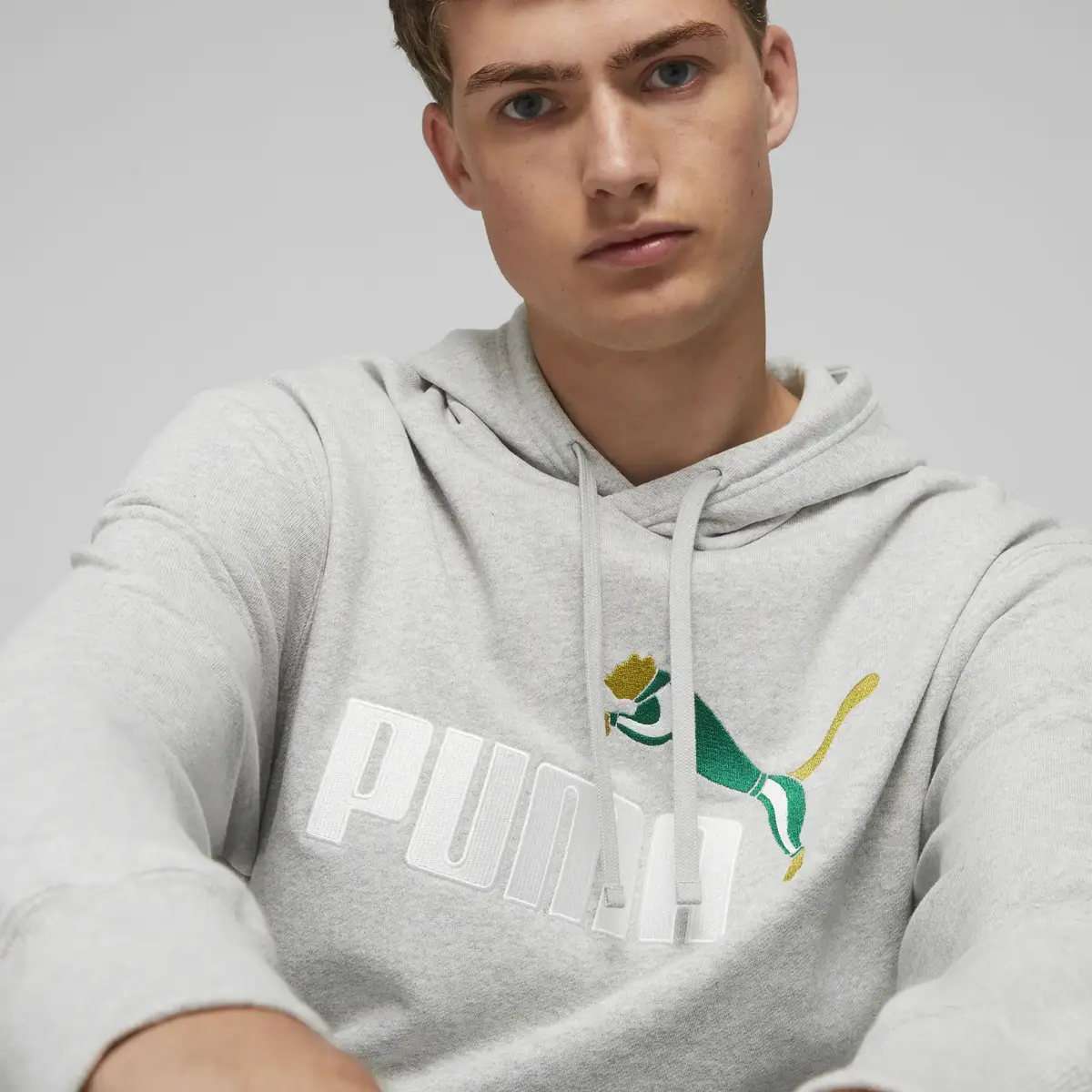 Puma NO.1 LOGO Hoodie Gri Unisex Hoodie