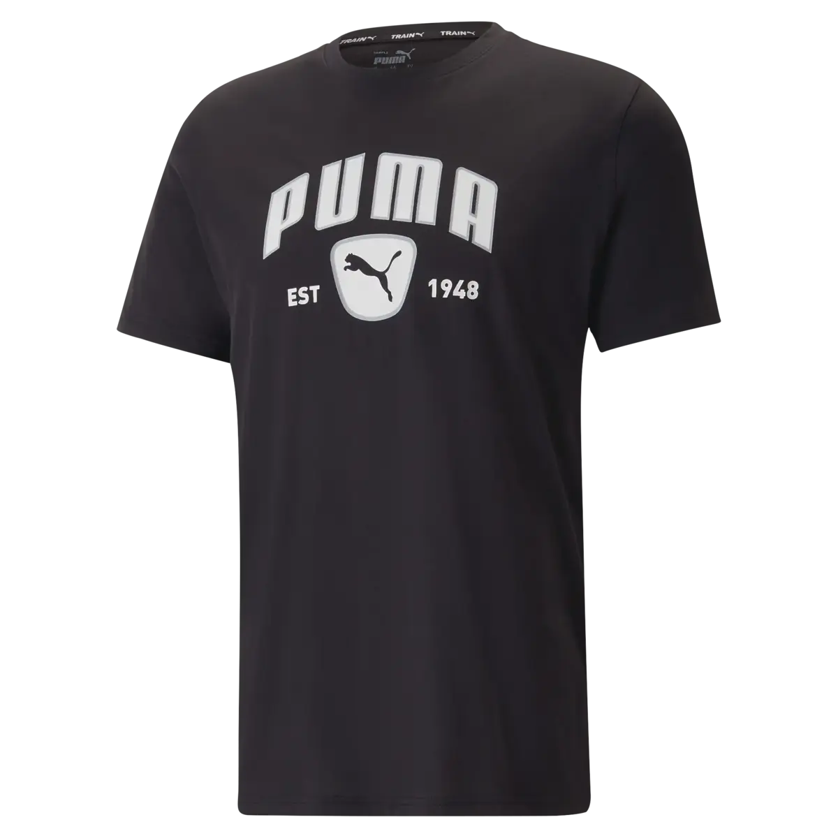 Puma PERFORMANCE TRAINING TEE Siyah Erkek T-shirt