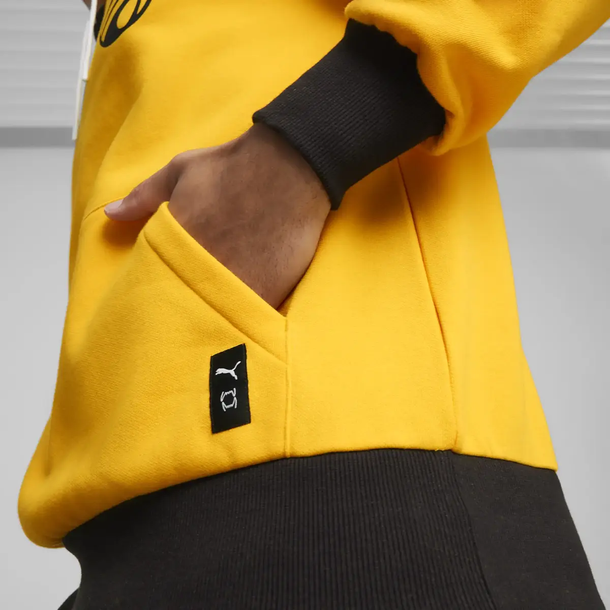 Puma Posterize 2.0 Hoodie Erkek Sweatshirt