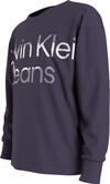 Calvin Klein HERO MAXI LOGO LS T- Erkek Mor T-Shirt