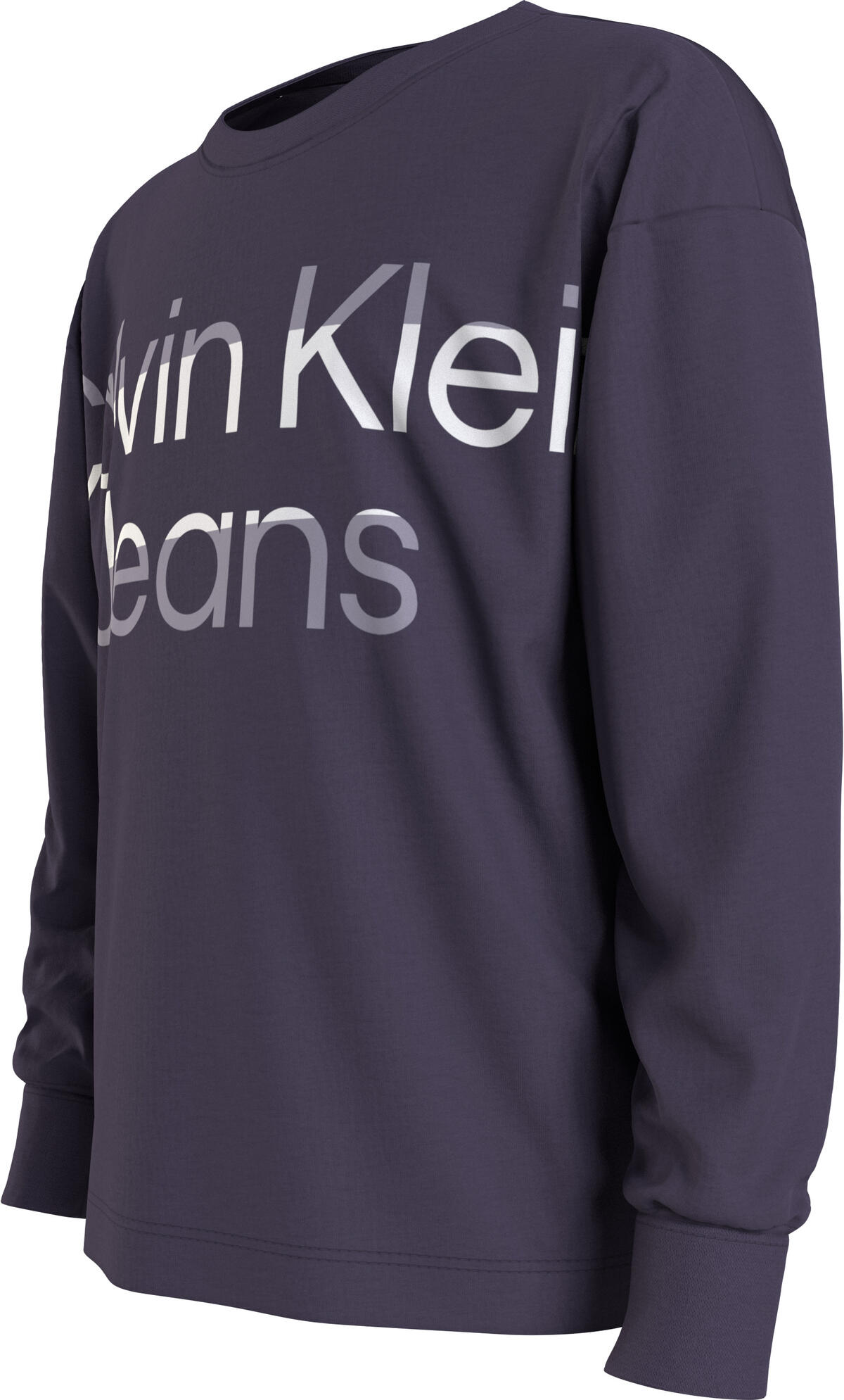 Calvin Klein HERO MAXI LOGO LS T- Erkek Mor T-Shirt