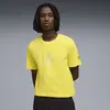 Puma Ferrari Tonal Shield Tee Sarı Erkek T-Shirt