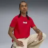 Puma GRAPHIC Tee Erkek T-Shirt & Polo