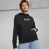 Puma Swxp Graphic Hoodie Siyah Kadın Hoodie