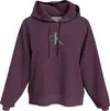 Calvin Klein GRADIENT CK HOODIE Kadın Pembe Hoodie