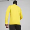 Puma teamGOAL Training Jacket Sarı Erkek Antrenman Ceketi