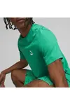 Puma Classıcs Small Logo Tee Yeşil Erkek Tişört