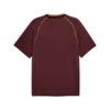 Puma ESS Football Jersey Bordo Erkek T-Shirt & Polo