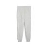 Puma SPORT Sweatpants TR cl Erkek Eşofman Altı