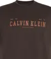 Calvin Klein SS 30S WHSL CALVIN COLL WORD GRA Erkek Kahverengi T-Shirt