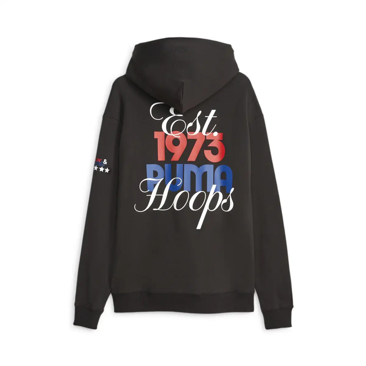 Puma FRANCHISE Graphic Hoodie 1 Siyah Erkek Hoodie