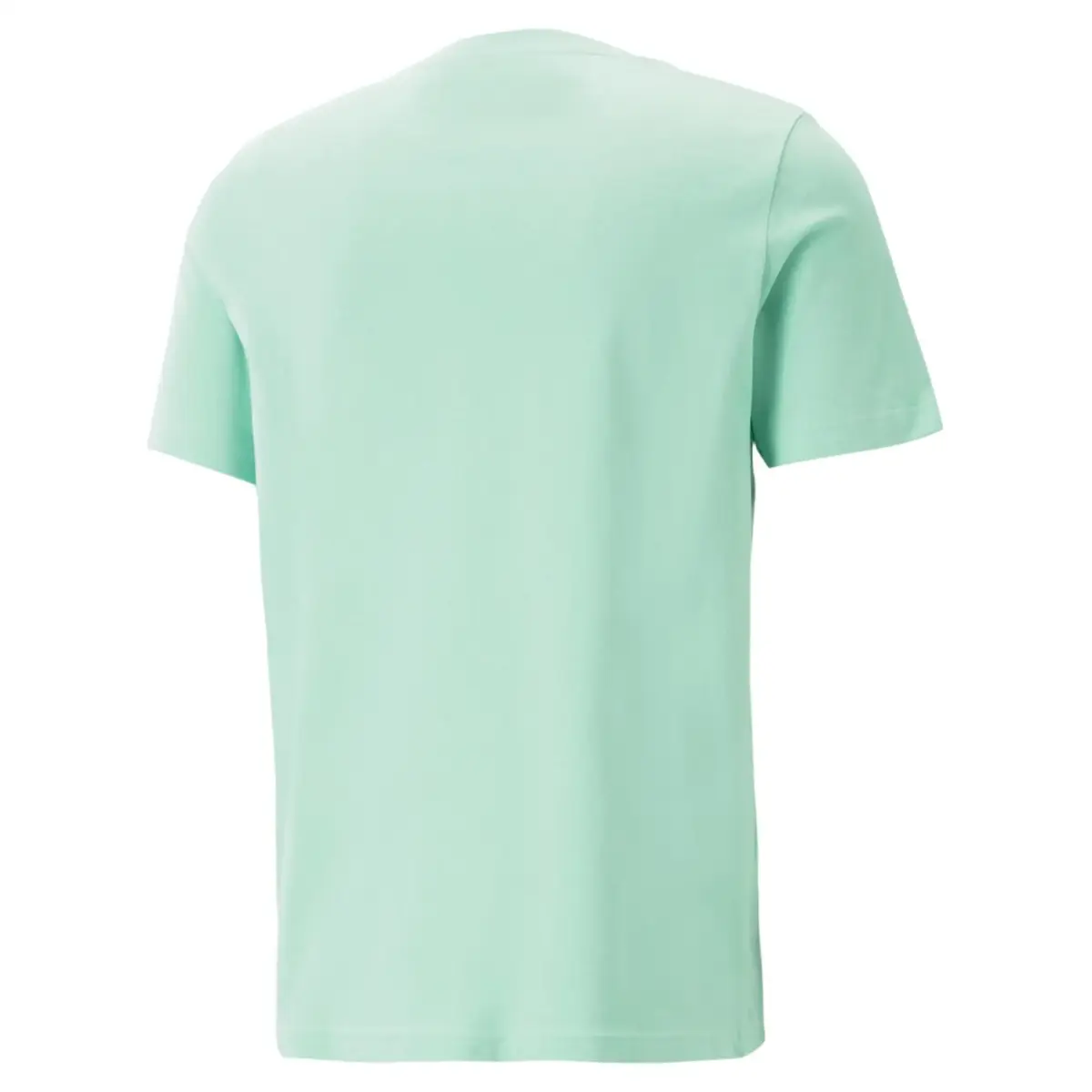 Puma SWxP Graphic Tee Mint Mint Erkek/Unisex T-Shirt