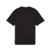 Puma GRAPHICS Tee Siyah Erkek T-shirt